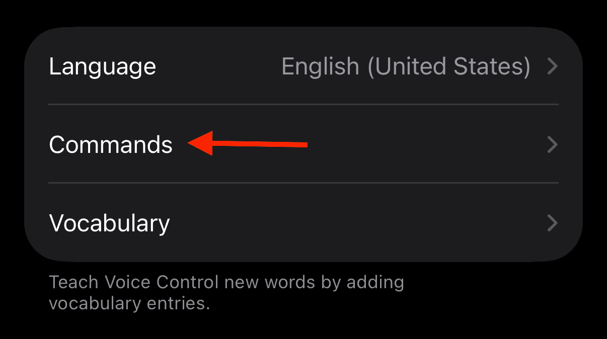 Find the Commands for Voice Control in Accessibility