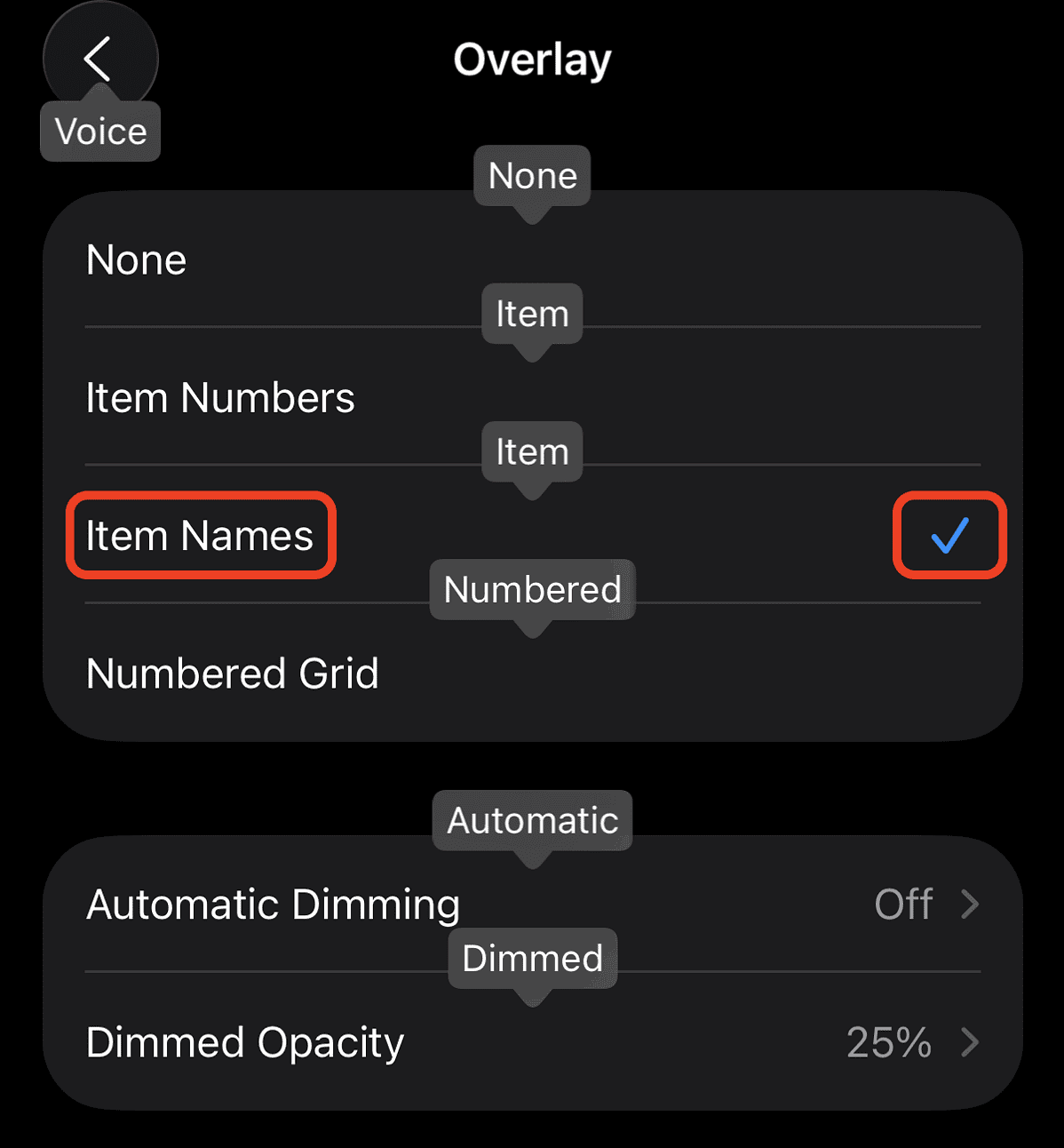 How to Use Voice Control on iPhone