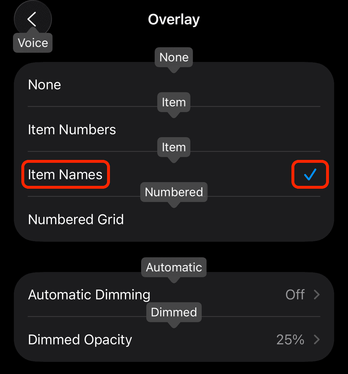Type of overlays you can choose in Voice Control
