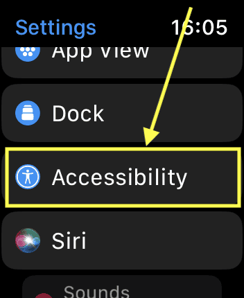 Apple Watch Accessibility
