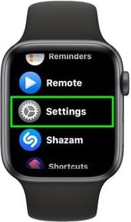 Apple Watch Settings