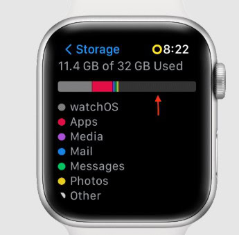 Apple Watch Storage