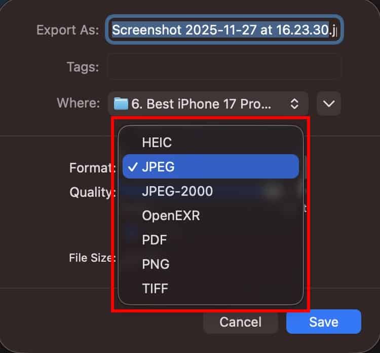Choosing a file formatting when exporting a photo in the Preview app on Mac