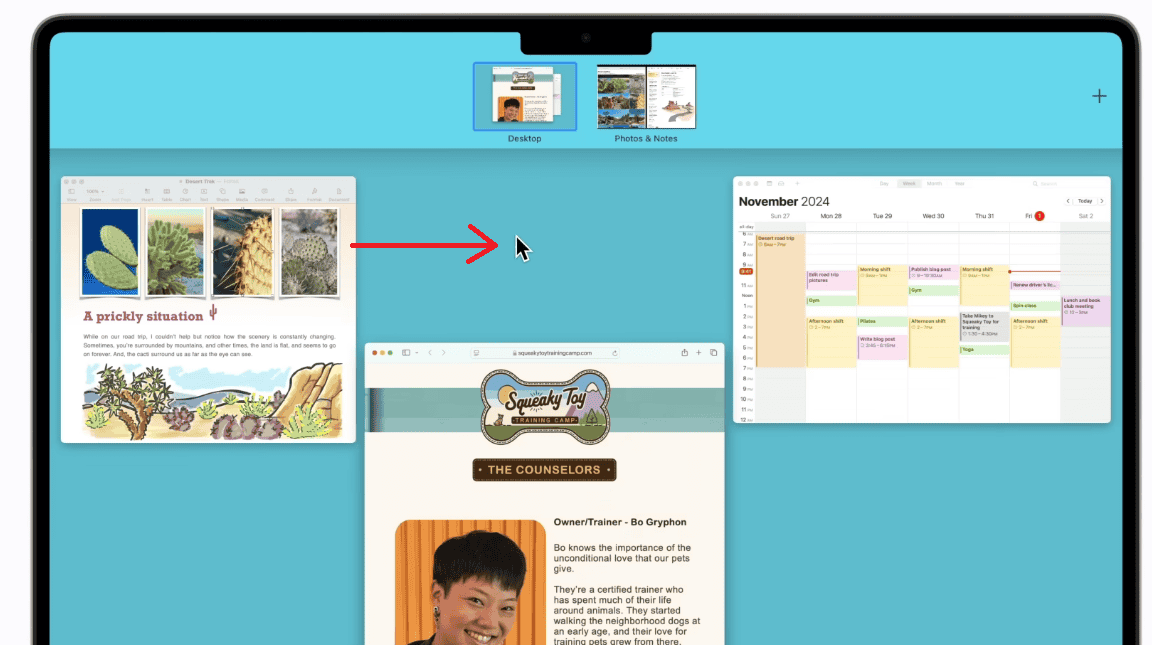 Close apps in Split View Mac from desktop