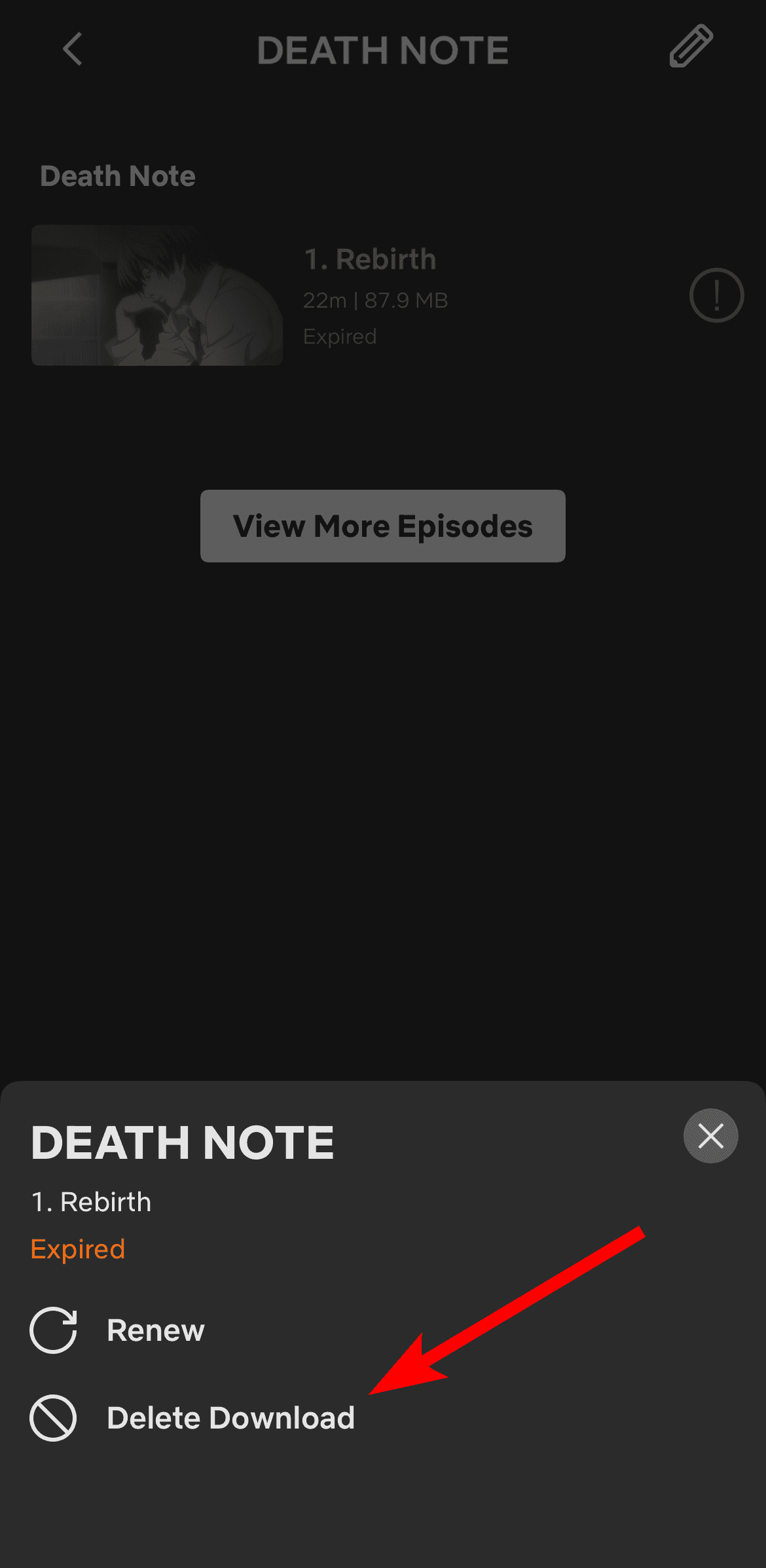 Deleting a download in Netflix