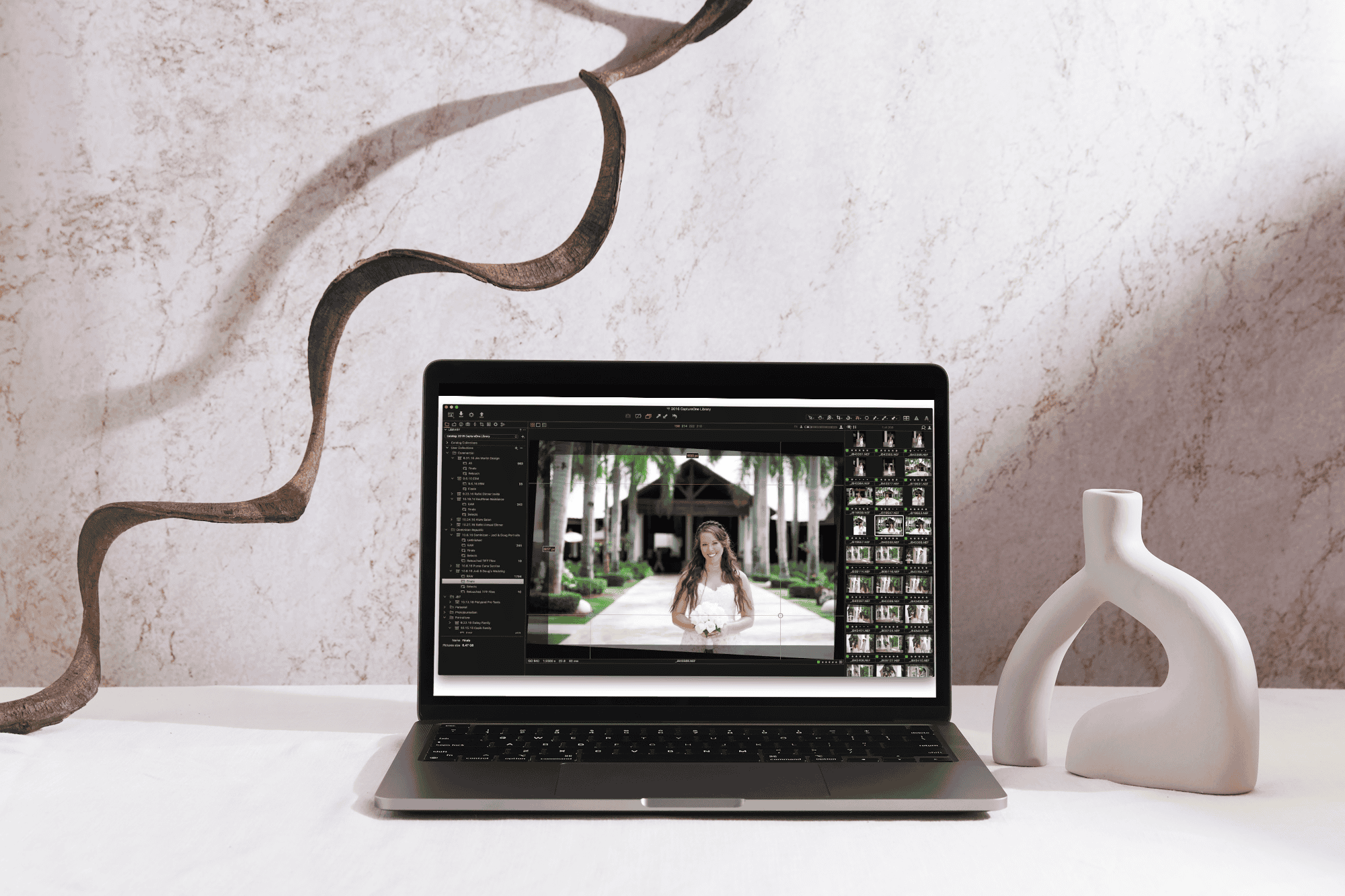 Top 5 Professional Photography Software for Mac
