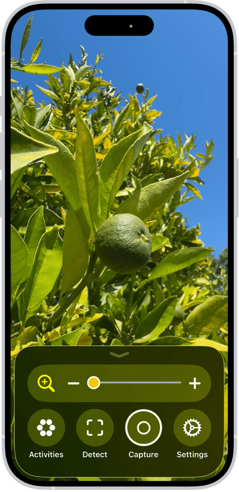 Magnifier on iPhone