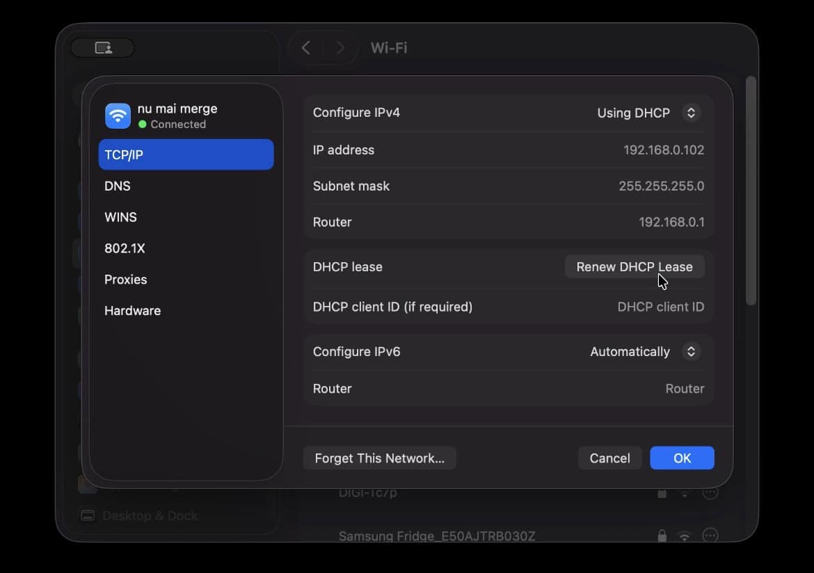 Renew DHCP on a Mac