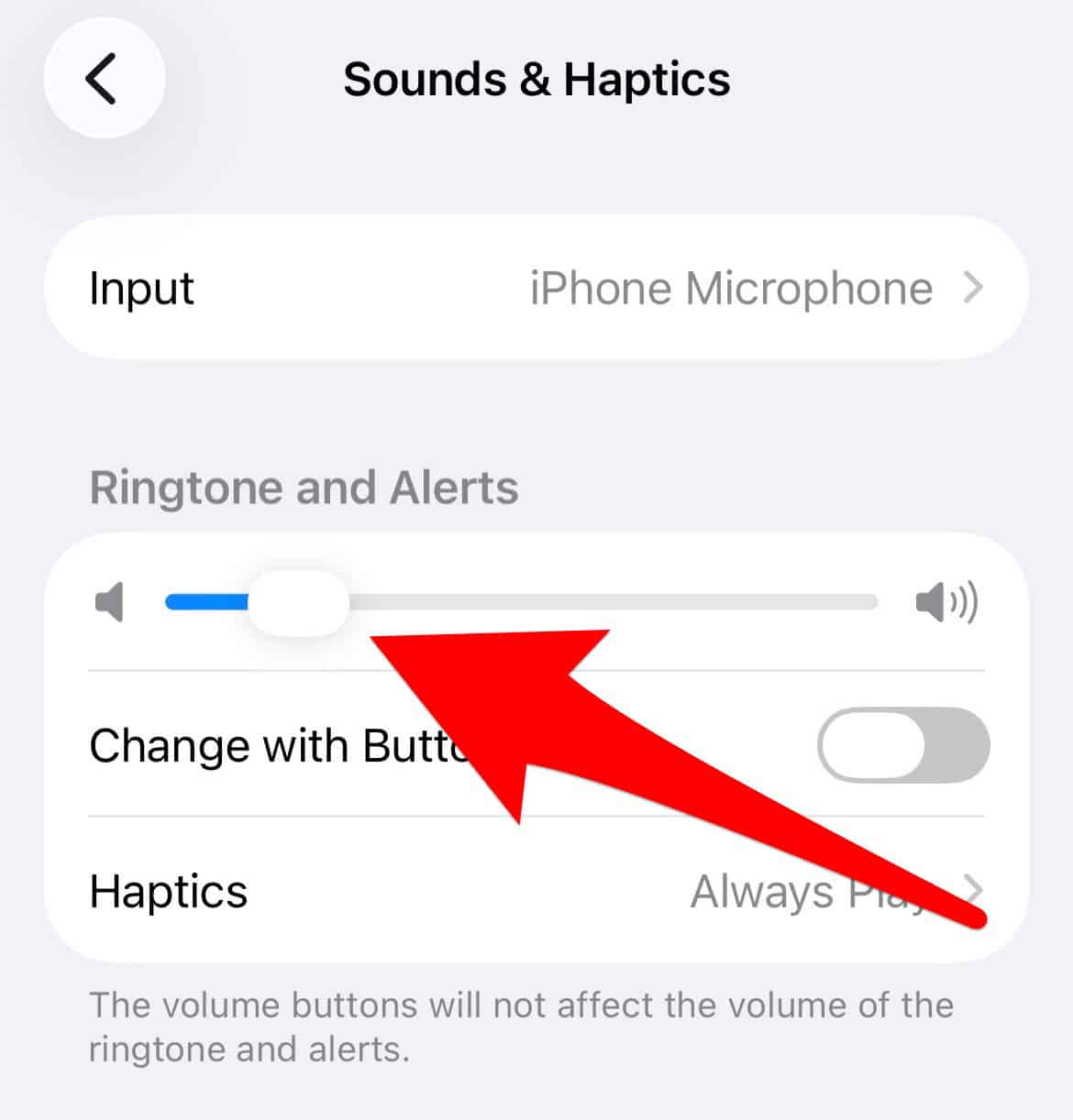 Ringtone and Alerts slider in iPhone settings