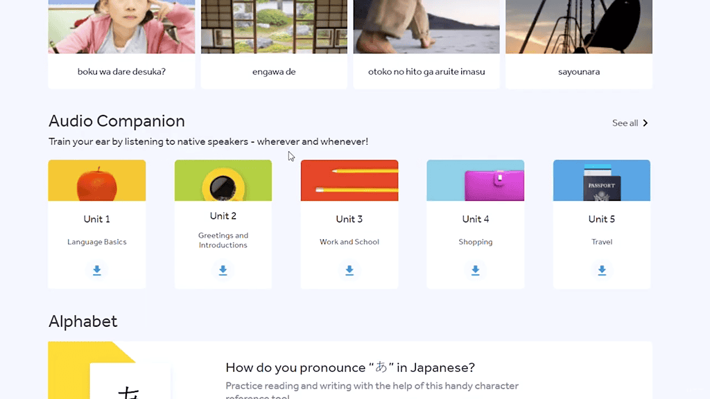 Rosetta Stone Audio feature