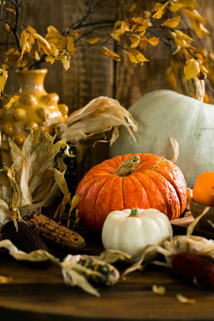 Rustic harvest tableau