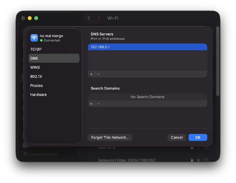 The DNS tab on Mac