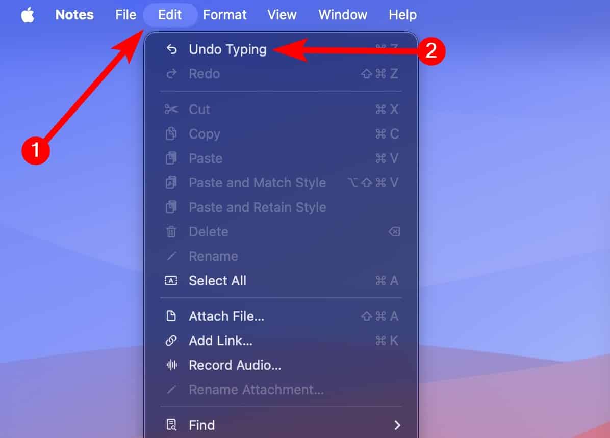 Undo Typing Apple Notes on Mac