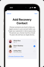 Apple recovery page