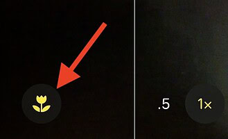 iPhone Camera Icons Explained: What Each Symbol Means
