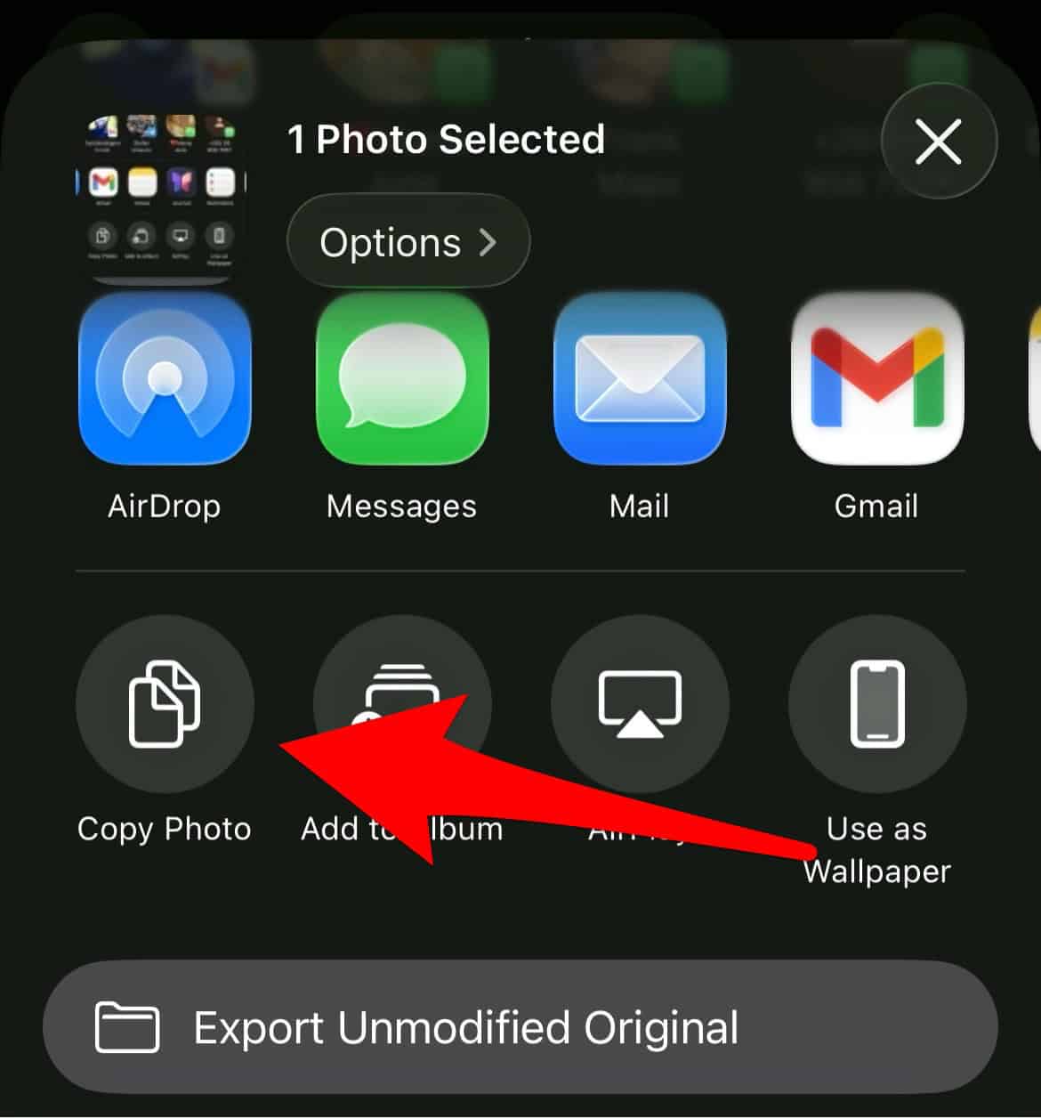 the Copy Photo option when sharing a Photo on iPhone