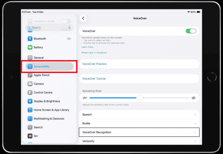 Accessibility iPad