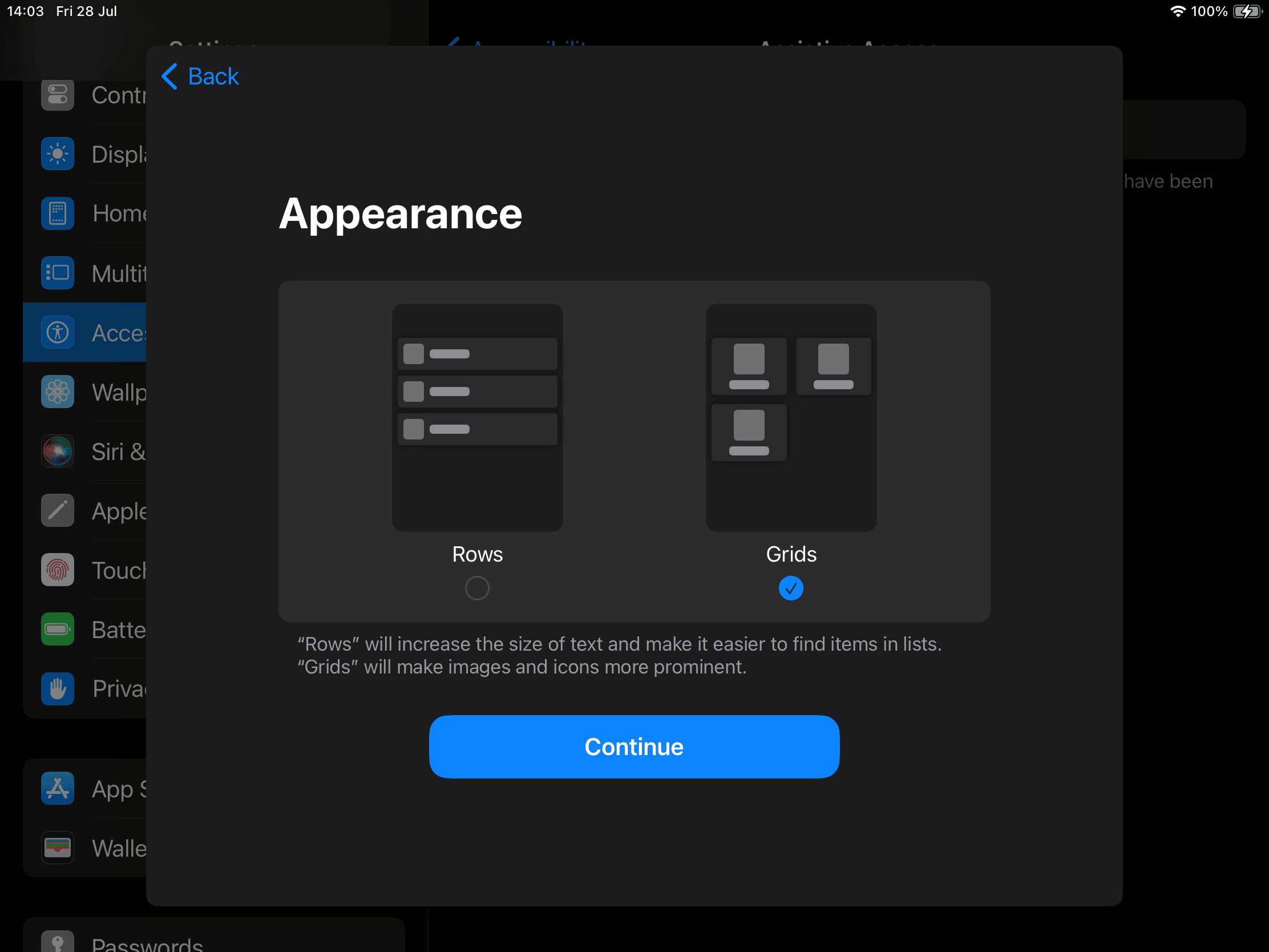 Appearence iPad