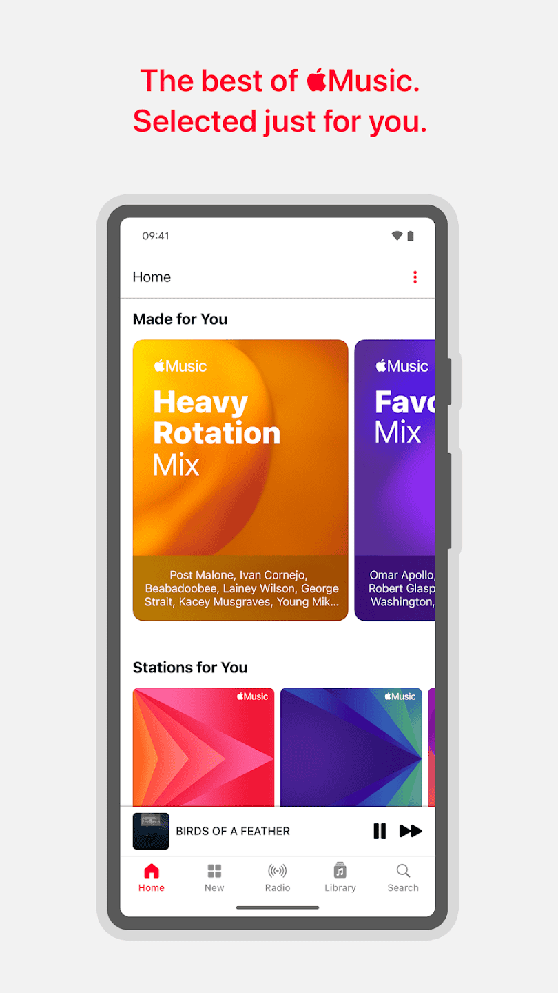 Apple Music Library image