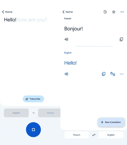 Google Translate