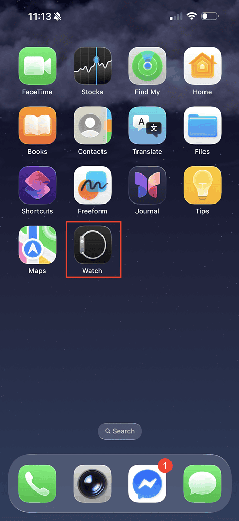 apple watch icon
