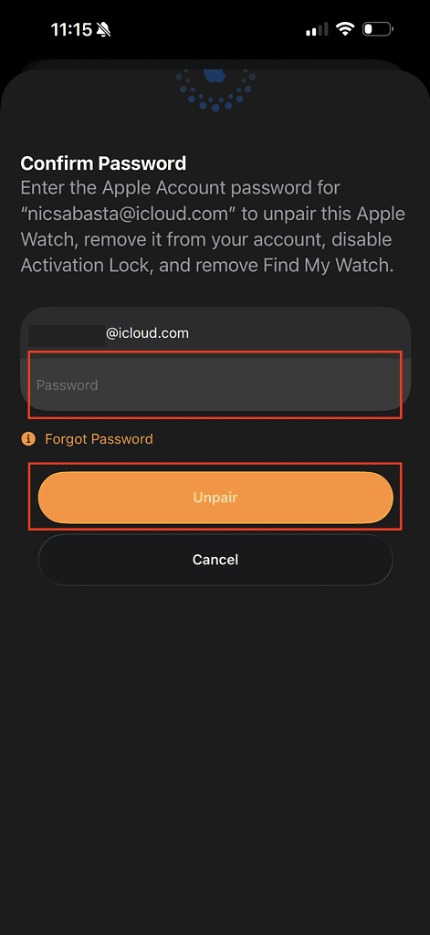 enter icloud password