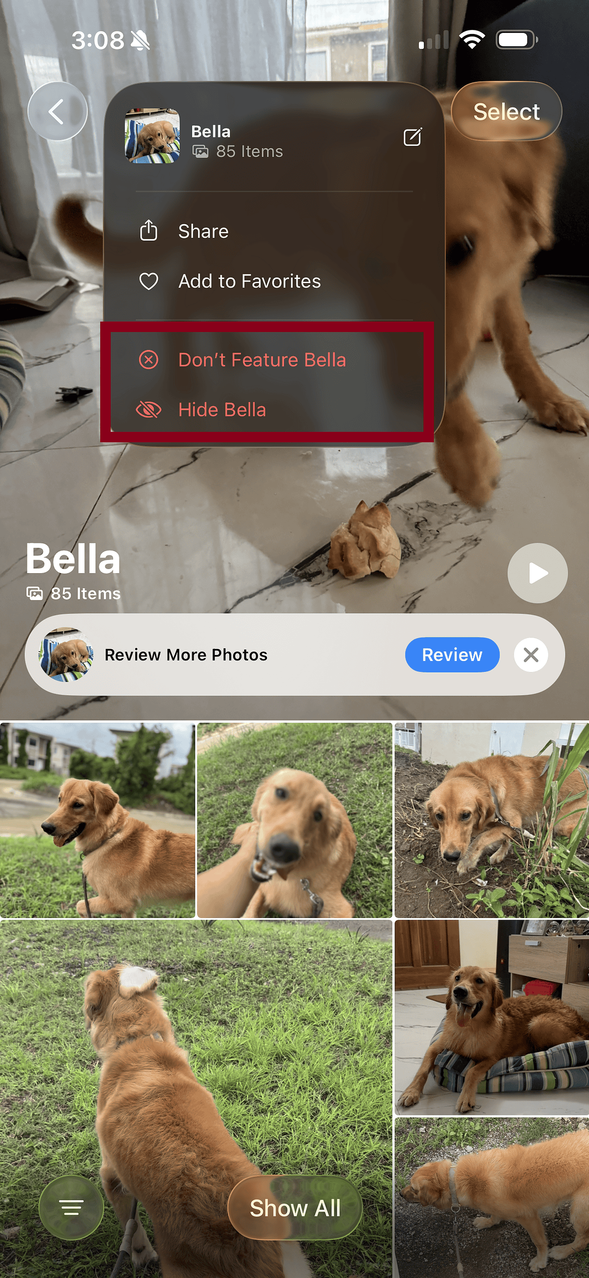 featured photos on iphone