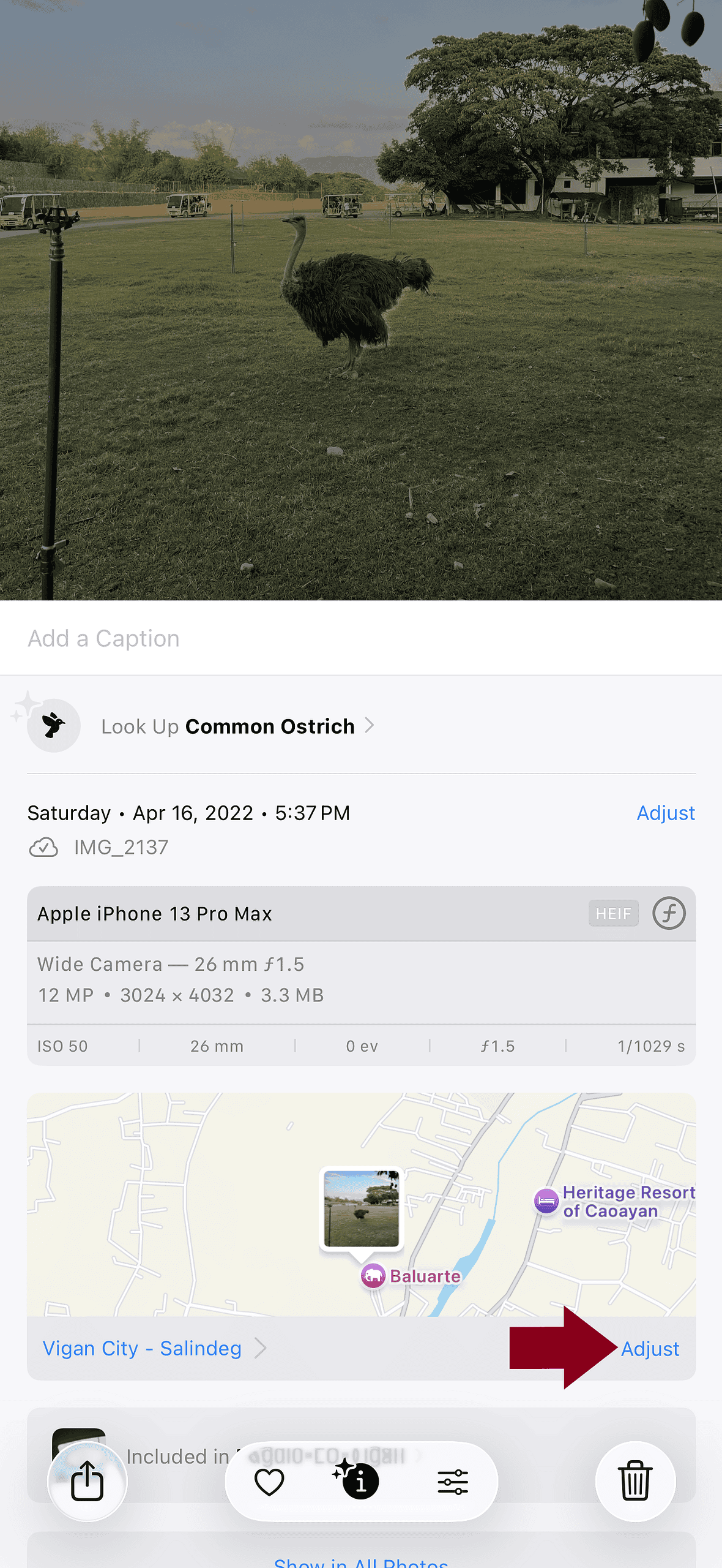 adjust image location