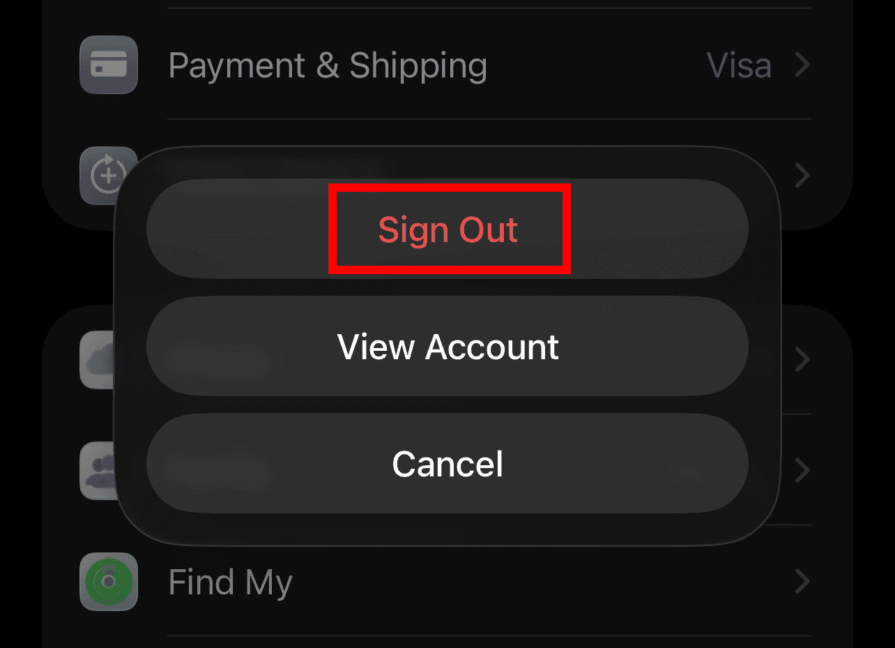 Signing Out of Apple Account in Account Settings on iPhone