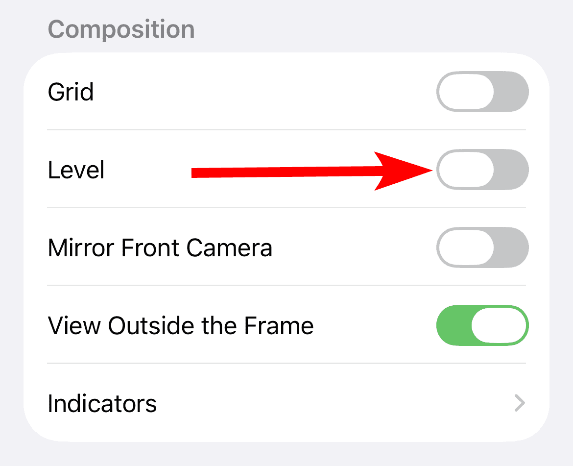 Turn off camera level on iPhone