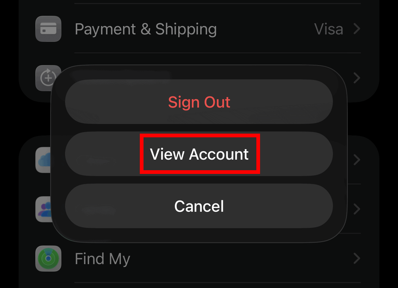 View Account option of Apple Account in Account Settings on iPhone