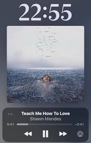 apple music screen