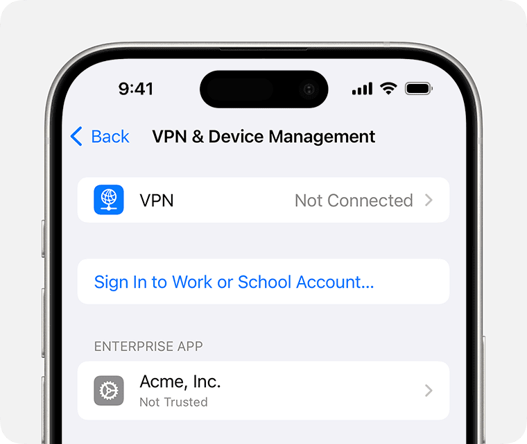 vpn and device management apple