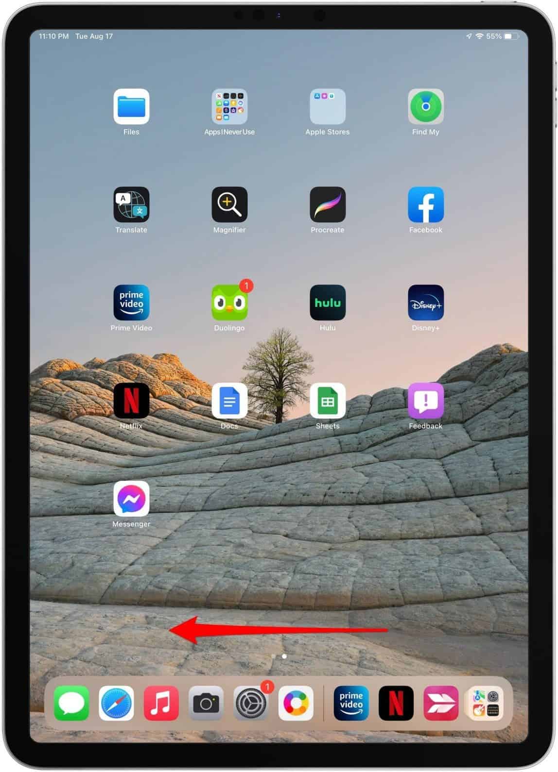 Open App Library iPad