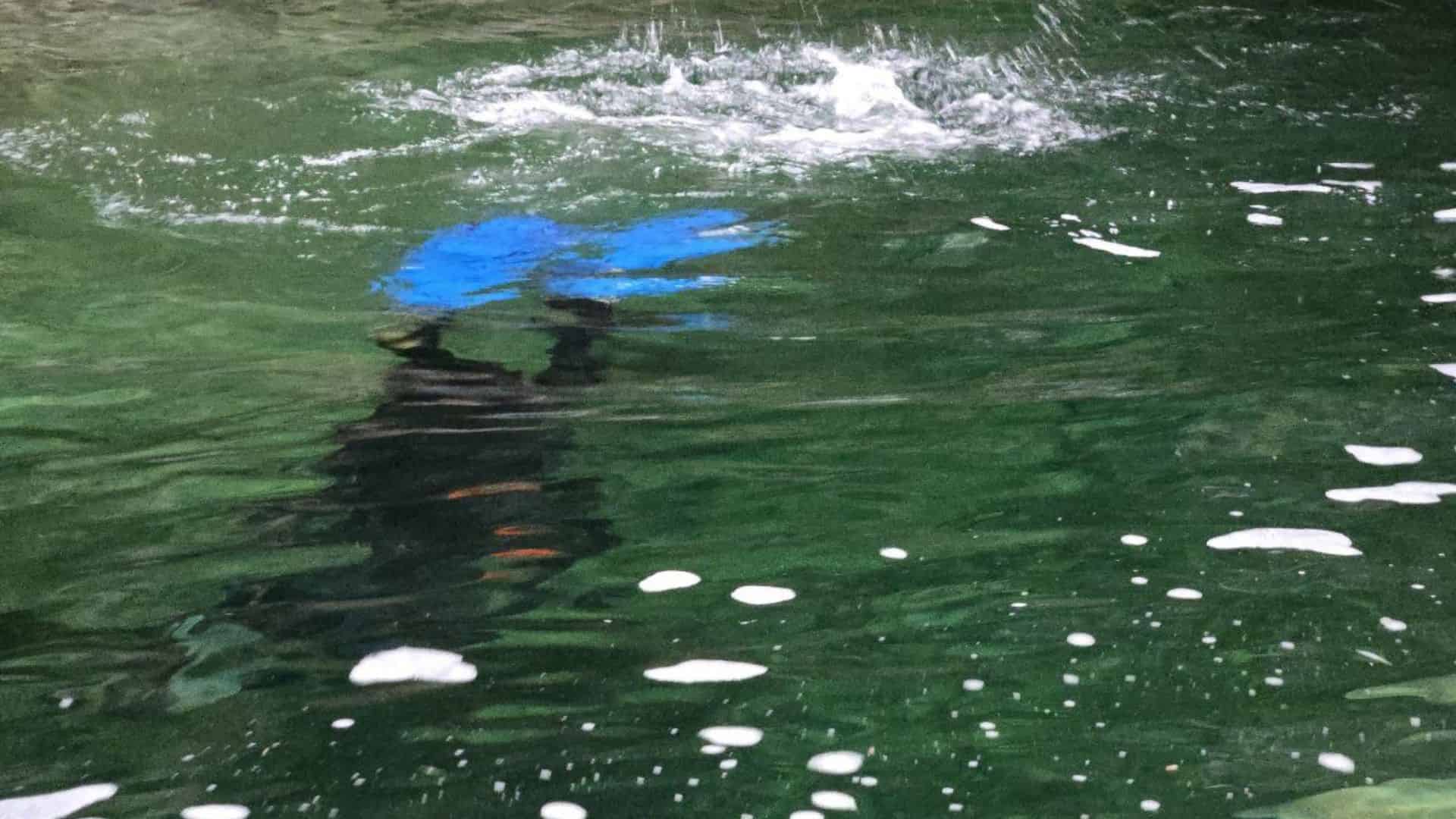 This iPhone 16 Survives Two Hours in Freezing Water at 6 Meters