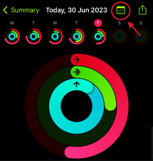 apple watch rings trends