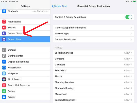 iPad Screen Time