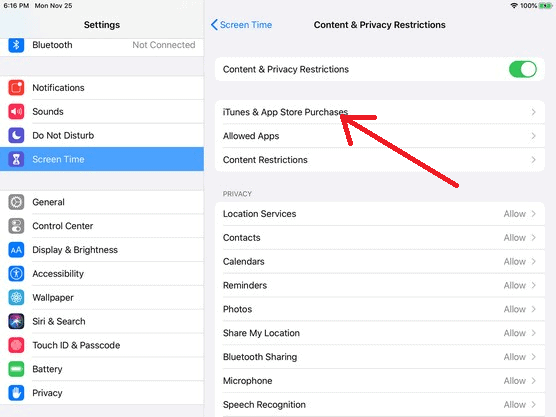 iTunes and App Store Purchases iPad