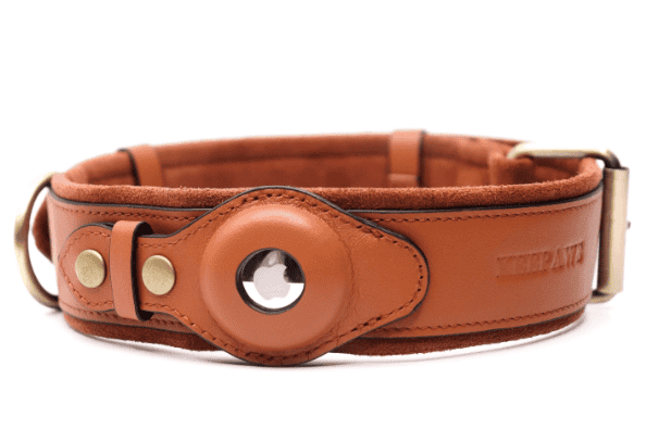 keepaws Airtag collar