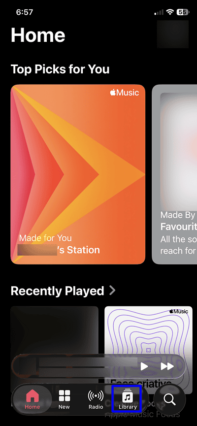 Apple Music download all songs playlist