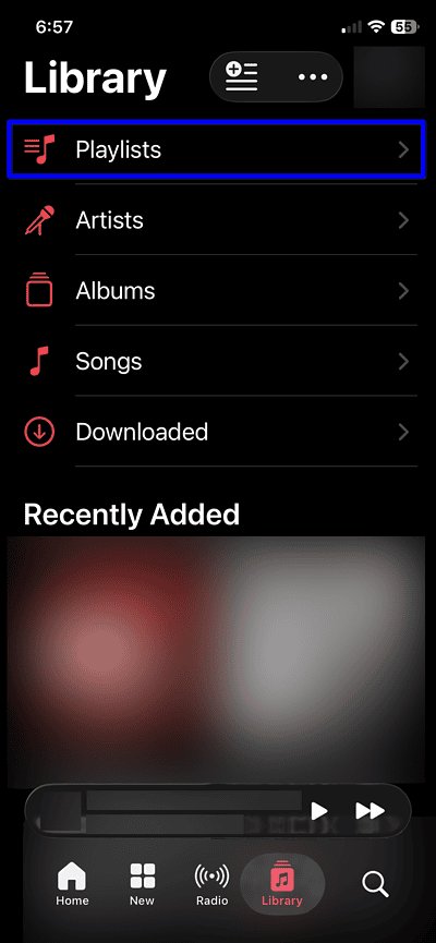 Apple Music download all songs playlist
