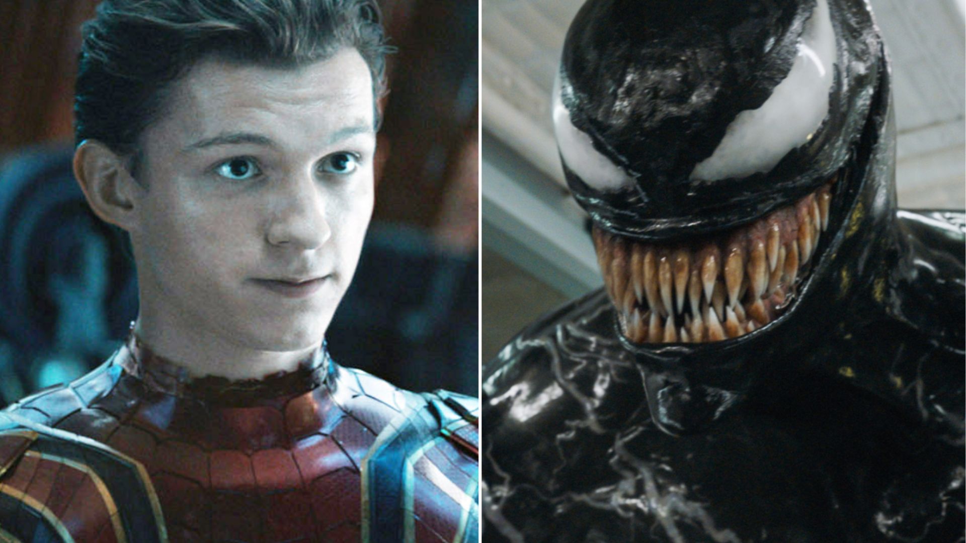 Spiderman Venom Crossover stuff