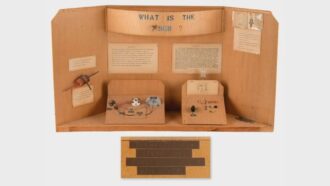 Steve Jobs 8th grade project