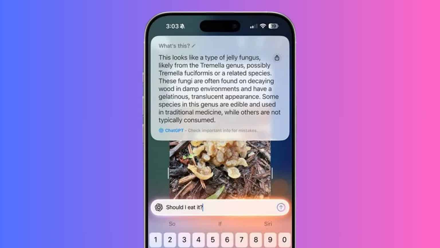 New iOS 27 Code Hints At Sponsored Ads In Visual Intelligence