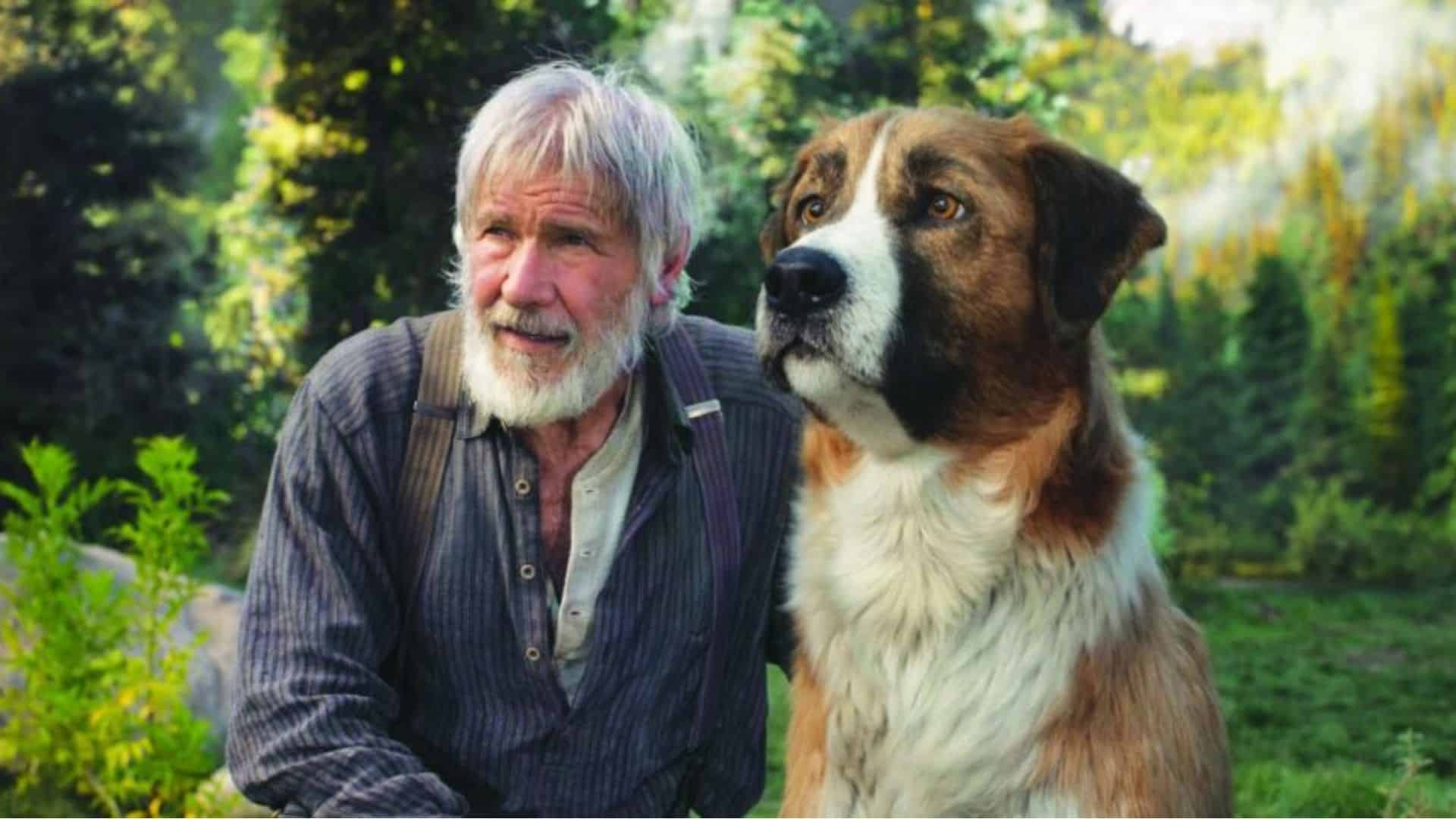 The Call of the wild