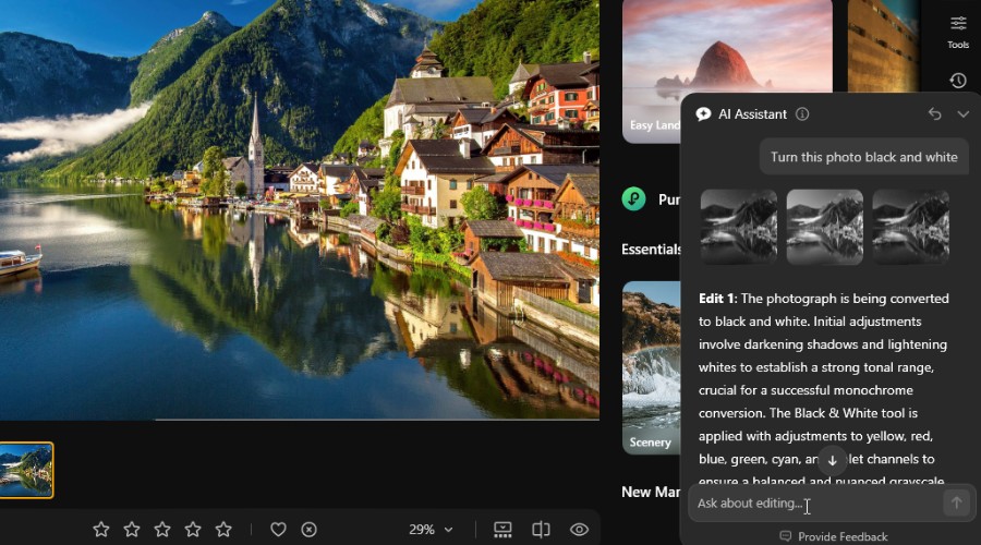 Luminar AI assistant