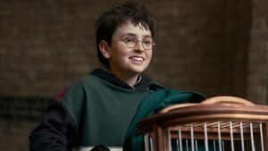 Harry Potter Season 2 Recasts Ginny Weasley and Adds Dobby and Tom Riddle
