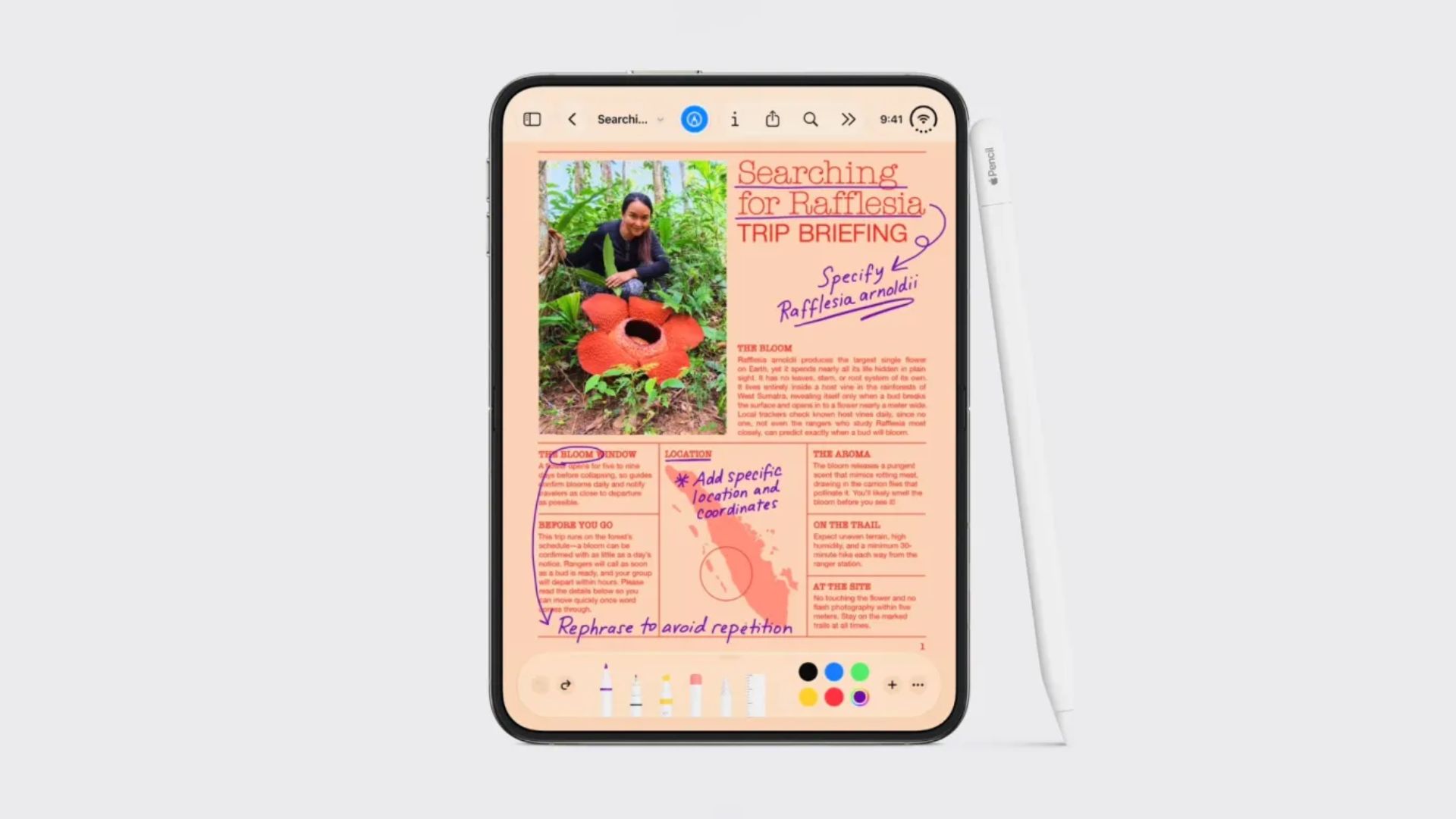 iPhone Duo Apple Pencil Support